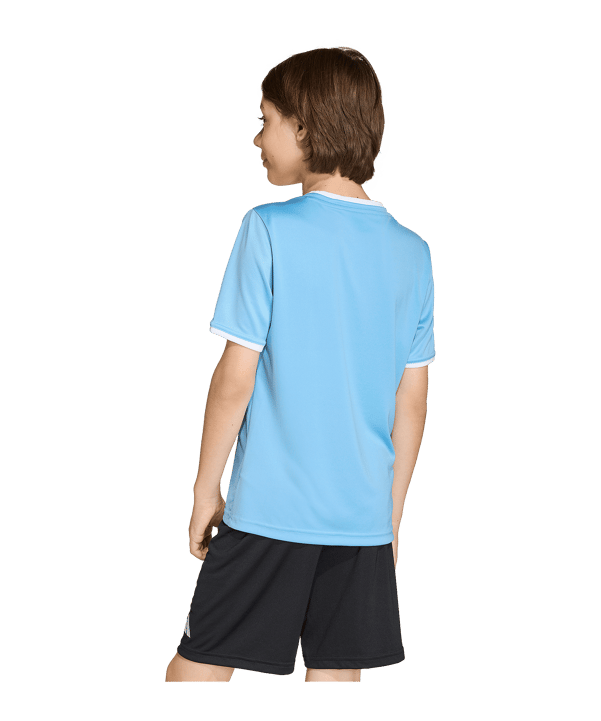adidas Entrada 26 Trikot Kids Blau - blau