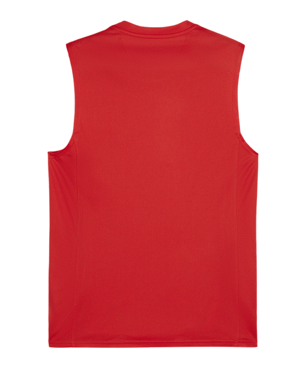 PUMA teamGOAL Tanktop Rot Weiss F01 - rot