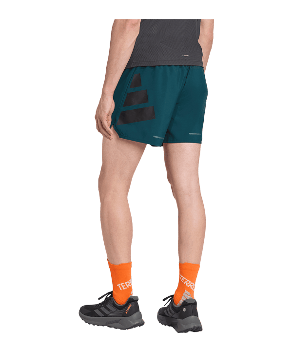 adidas Terrex Xperior Short Grün - gruen