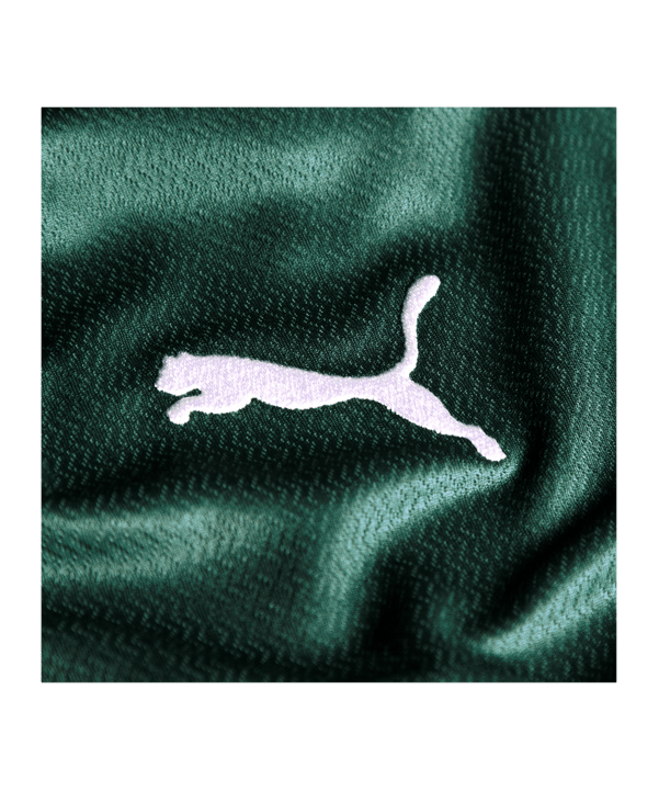 PUMA Palmeiras Trikot Home 2022/2023 Grün F01 - gruen