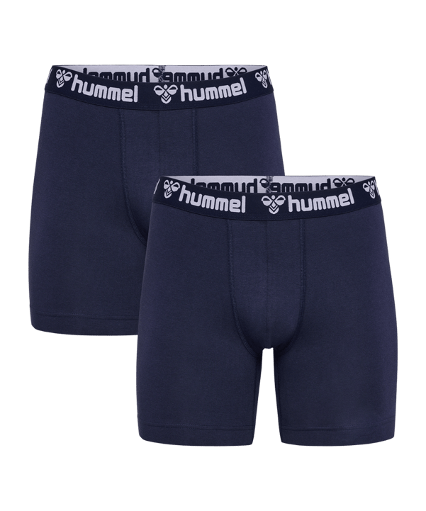 Hummel 2-Pack underwear Shorts blu F7026 - blu