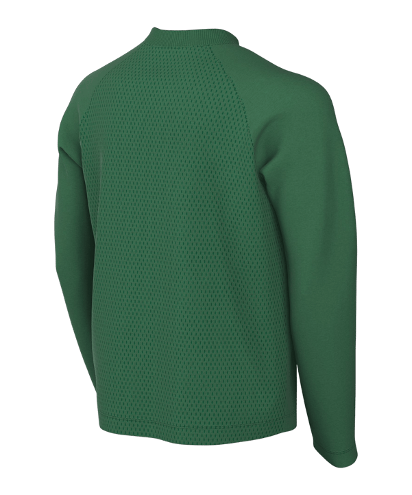 Nike Park VIII Trikot langarm Kids Grün F302 - gruen