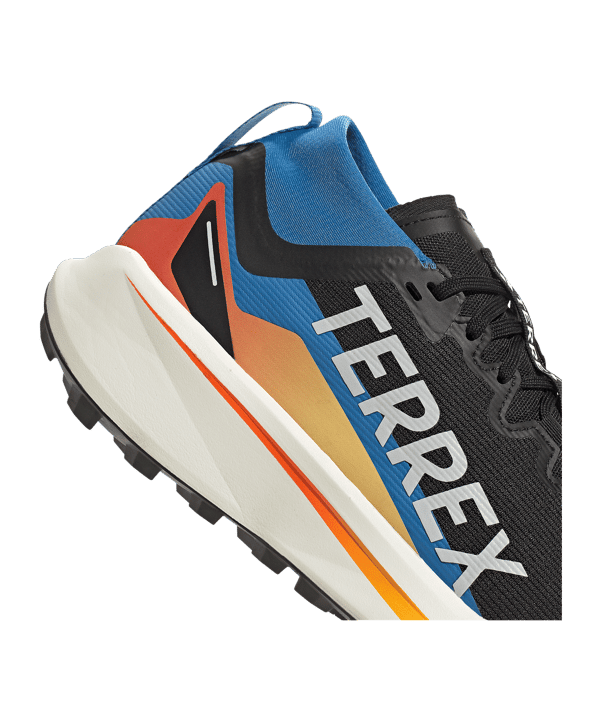 adidas TERREX Agravic GTX Laufschuh Schwarz - schwarz