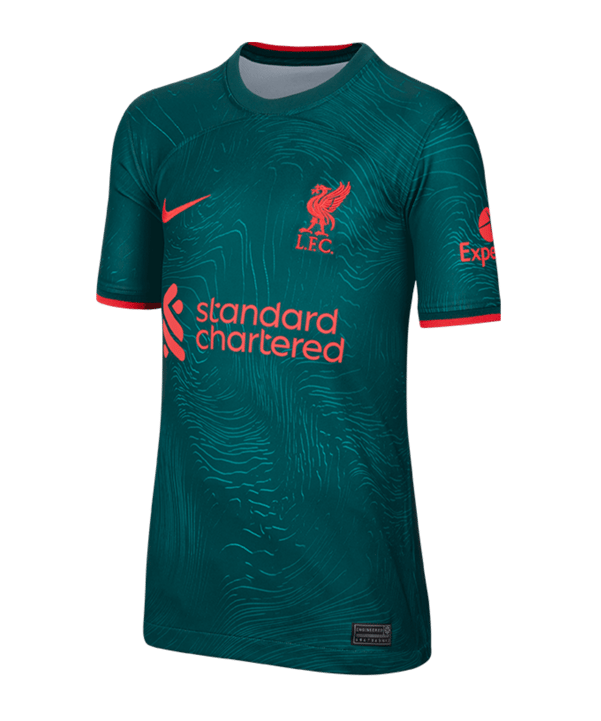 Nike FC Liverpool Trikot UCL 2022/2023 Kids Grün F377 - gruen
