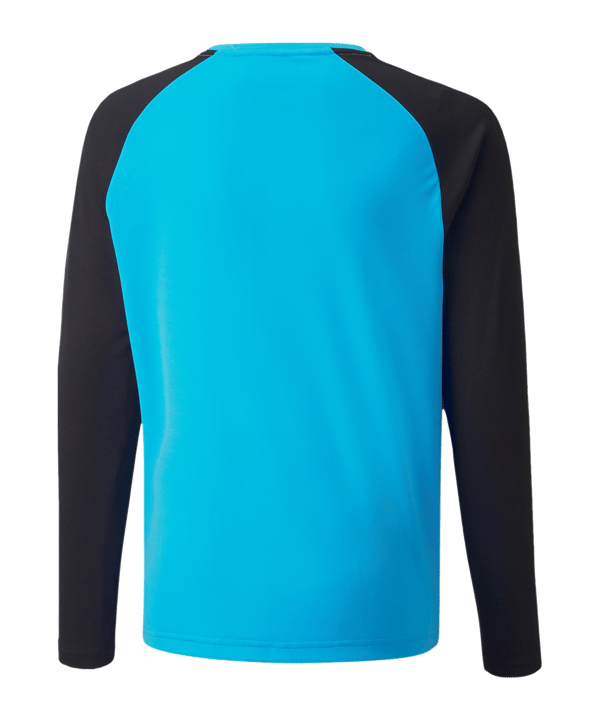 PUMA teamPACER Torwarttrikot langarm Kids F40 - blau