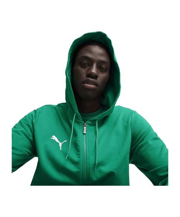 PUMA teamGOAL Casuals Kapuzenjacke Grün F05 - gruen