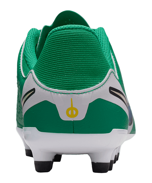 Nike Legend 10 Academy LV8 FG/MG Fear Nothing Kids Grün F300 - gruen