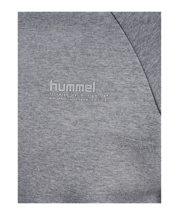 Hummel Sweatshirt Grau F2006 - grau