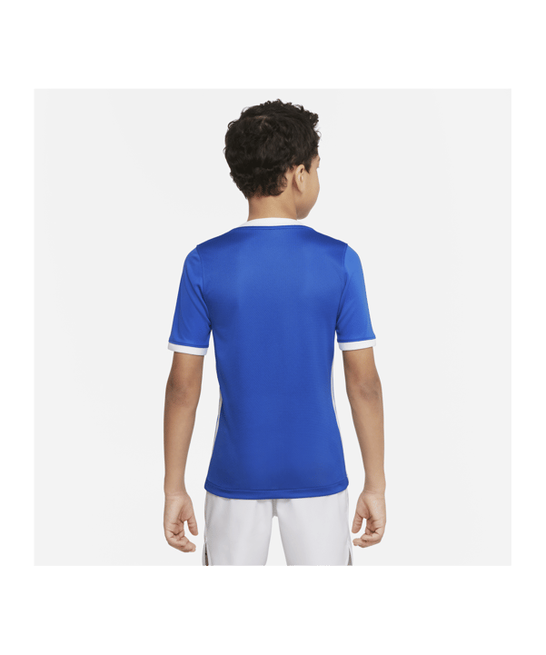 Nike Challenge IV Trikot Kids Blau Weiss F463 - blau