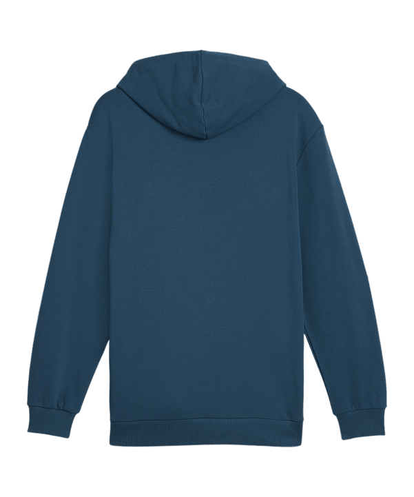 PUMA KING Top Hoody Grün F05 - gruen