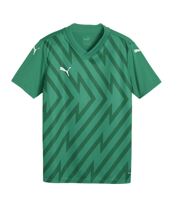 PUMA teamGLORY Trikot Kids Grün Weiss Grün F05 - gruen