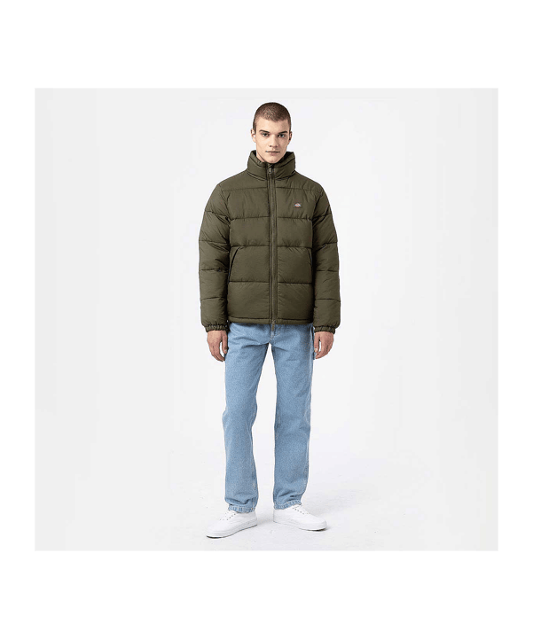 Dickie Waldenburg Puffer Jacke Grün - gruen