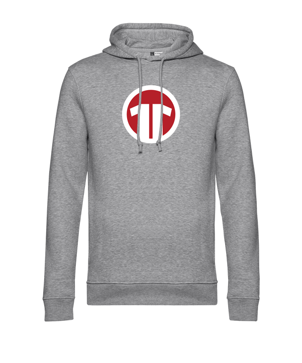 11teamsports Logo Hoody Grau - grau