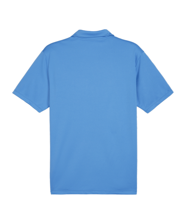 PUMA teamGOAL Poloshirt Blau F02 - hellblau