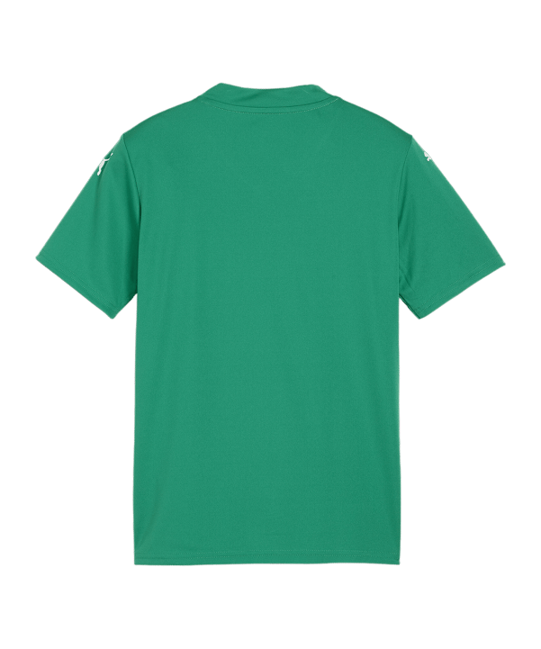PUMA teamGLORY Trikot Kids Grün Weiss Grün F05 - gruen