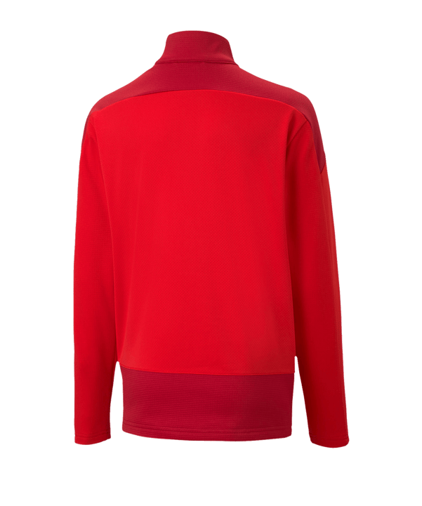 PUMA teamGOAL 23 Training 1/4 Zip Top Kids Rot F01 - rot