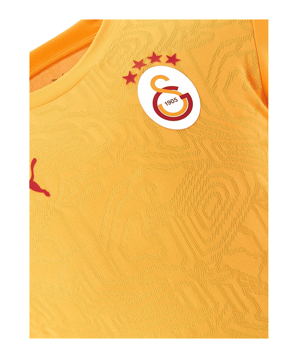 PUMA Galatasaray Istanbul Training T-Shirt Gelb F202 - gelb