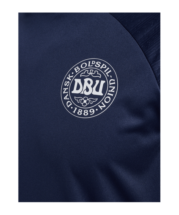 Hummel Dänemark Pro Trainingshirt Kids Blau F7026 - blau