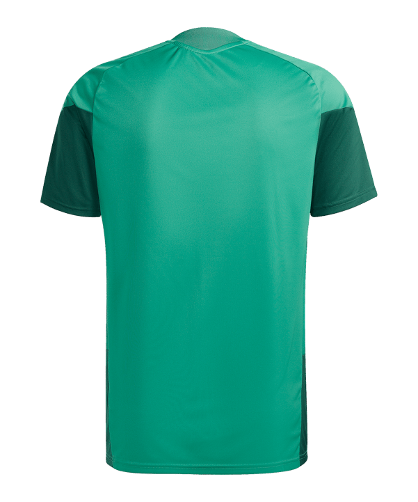 adidas Algerien Tiro Trainingsshirt Grün - gruen