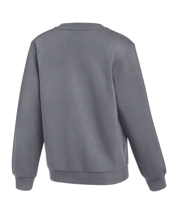 Nike Park 26 Sweatshirt Grau F071 - grau