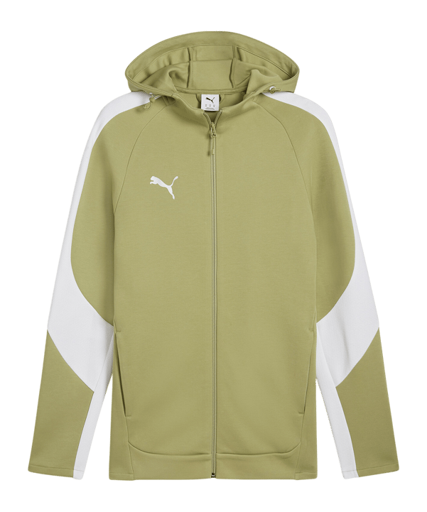 PUMA teamEVOSTRIPE Kapuzenjacke Grün F40 - gruen