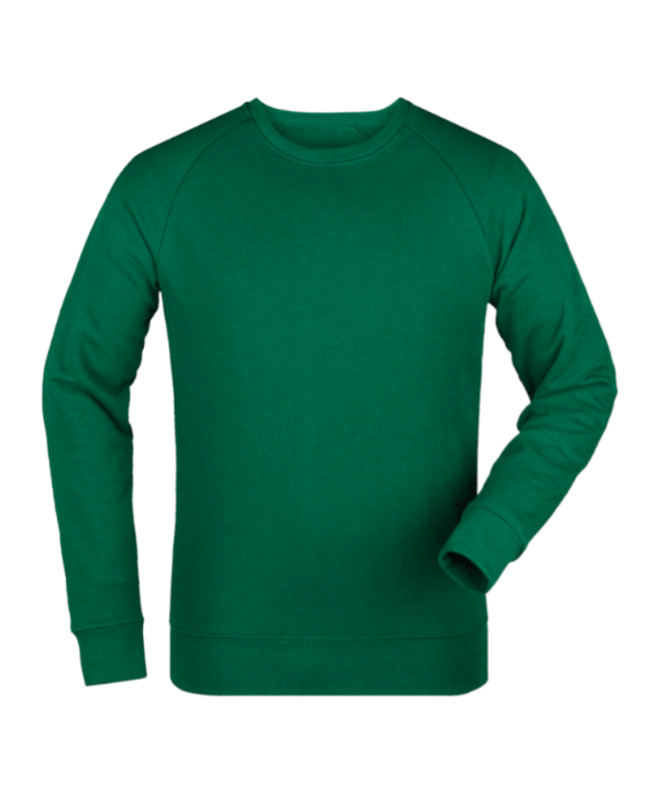 Merch Roller Sweatshirt Bottle Green FC224 - gruen