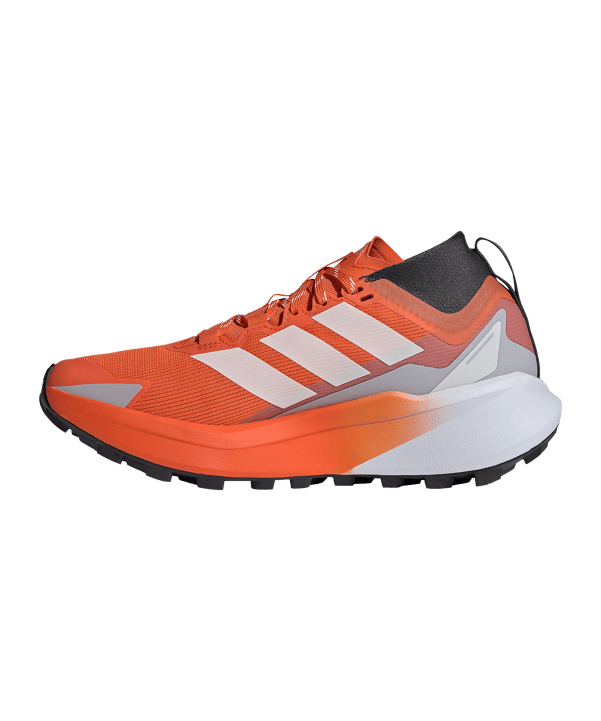 adidas Dames Terrex Agravic GTX Loopschoen Wit - wit