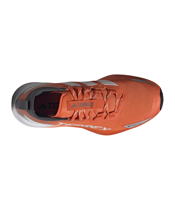 adidas Dames Terrex Agravic GTX Loopschoen Wit - wit