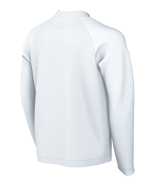 Nike Park VIII Trikot langarm Kids Weiß F100 - weiss