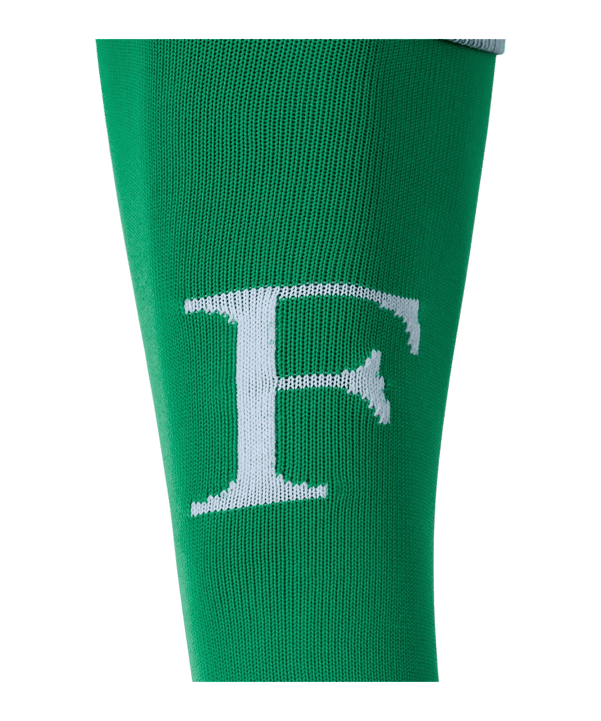 Castore Feyenoord Rotterdam Strumpfstutzen 3rd 2024/2025 Grün F101 - gruen