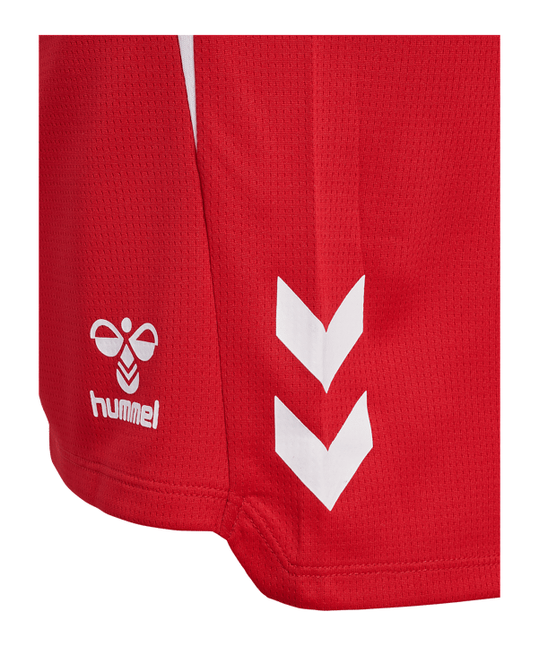 Hummel hmlLEAD 2.0 Short Damen Rot F3062 - rot