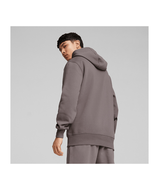 PUMA Hoops Team Hoody Grau F02 - grau