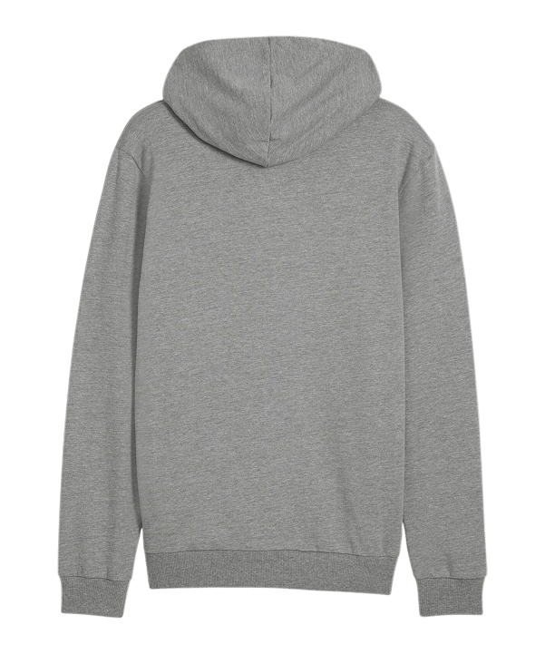 PUMA teamGOAL Casuals Kapuzenjacke Grau F33 - grau
