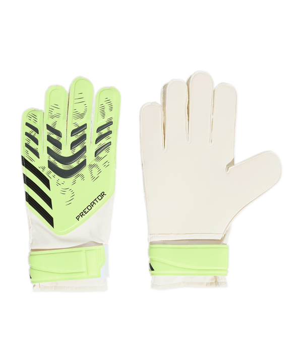 adidas Predator Training Torwarthandschuhe Radiant Blaze Grün - gruen
