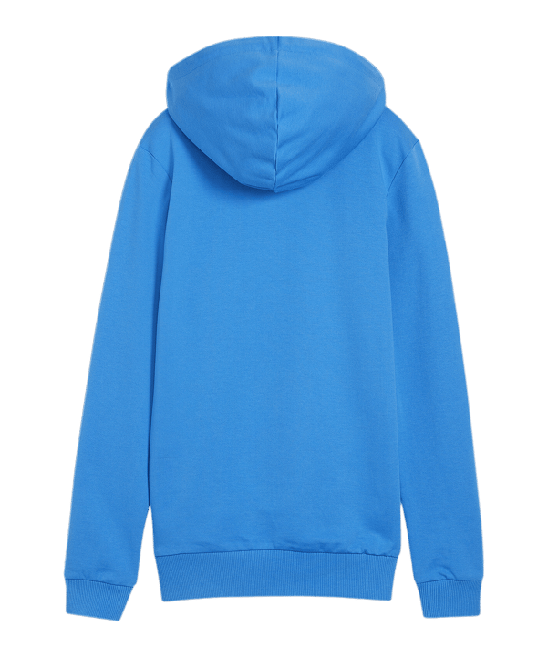 PUMA teamGOAL Casuals Hoody Damen Blau F02 - blau