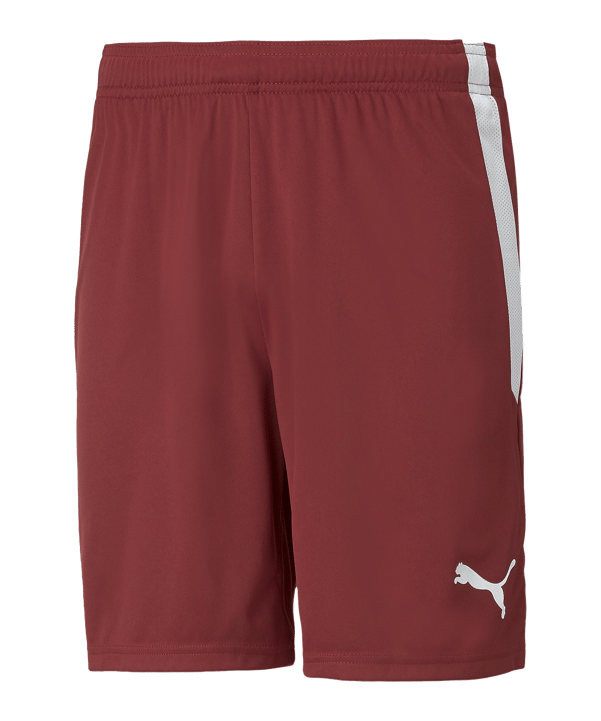 PUMA teamLIGA Short Rot Weiss F09 - rot