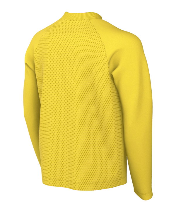 Nike Park VIII Trikot langarm Kids Gelb F719 - gelb