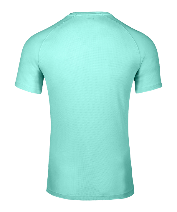 Nike Park VIII Trikot Türkis F354 - tuerkis
