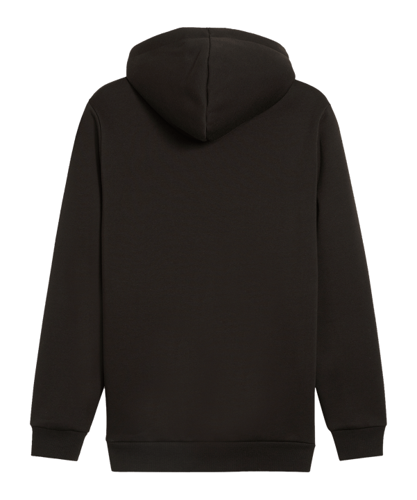 PUMA Essentials 2 Col Big Logo Hoody Schwarz F059 - schwarz