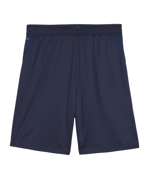 PUMA teamGOAL Training Shorts Blau F06 - dunkelblau
