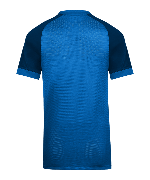 Nike Trophy VI Trikot Kids Blau F463 - blau