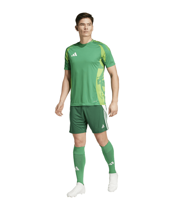 adidas Tiro 24 Short Grün Weiss - gruen