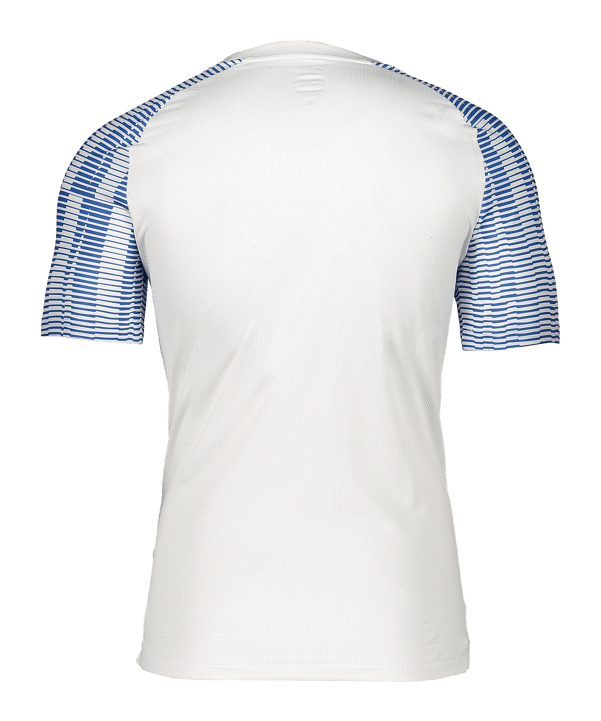Nike Academy Trikot Kids Weiss Blau F102 - weiss