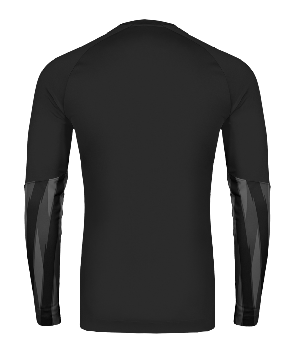 Nike Park V Trikot langarm Schwarz F010 - schwarz