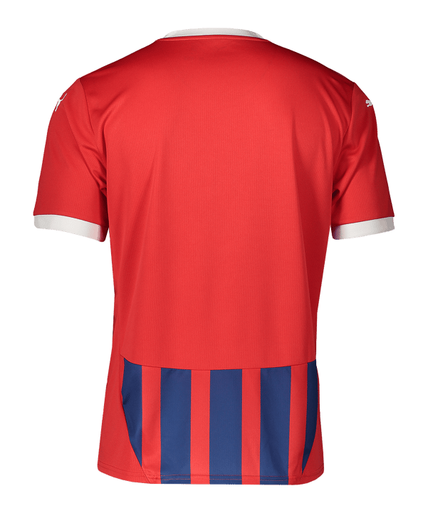 PUMA Trikot Rot Blau F01 Rot Blau F01 - rot