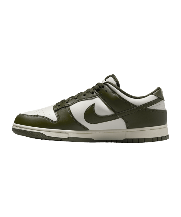 Nike Dunk Low Retro Sneaker Grau F102