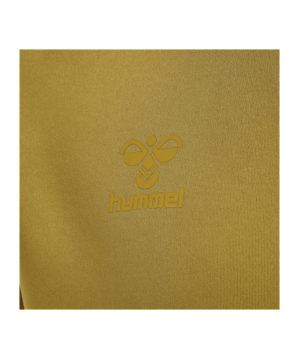 Hummel hmlCIMA XK Hoody Gold F9036 - gold