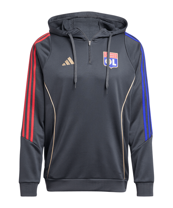 adidas Olympique Lyon Training Hoody Grau - grau