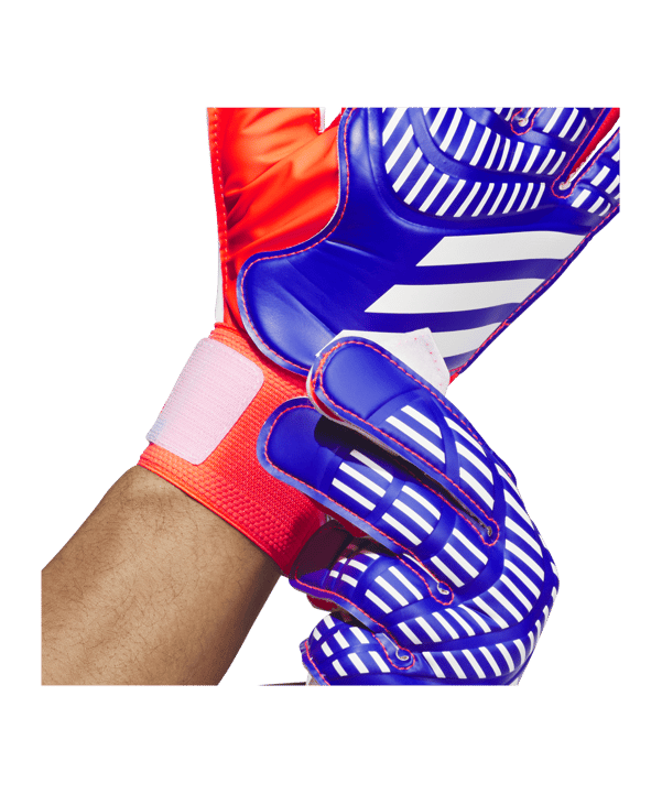 adidas Predator TRN Torwarthandschuhe Advancement Blau - blau