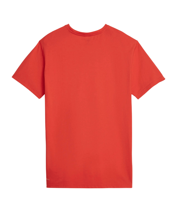 PUMA Hoops Team Drycell T-Shirt Rot F04 - rot